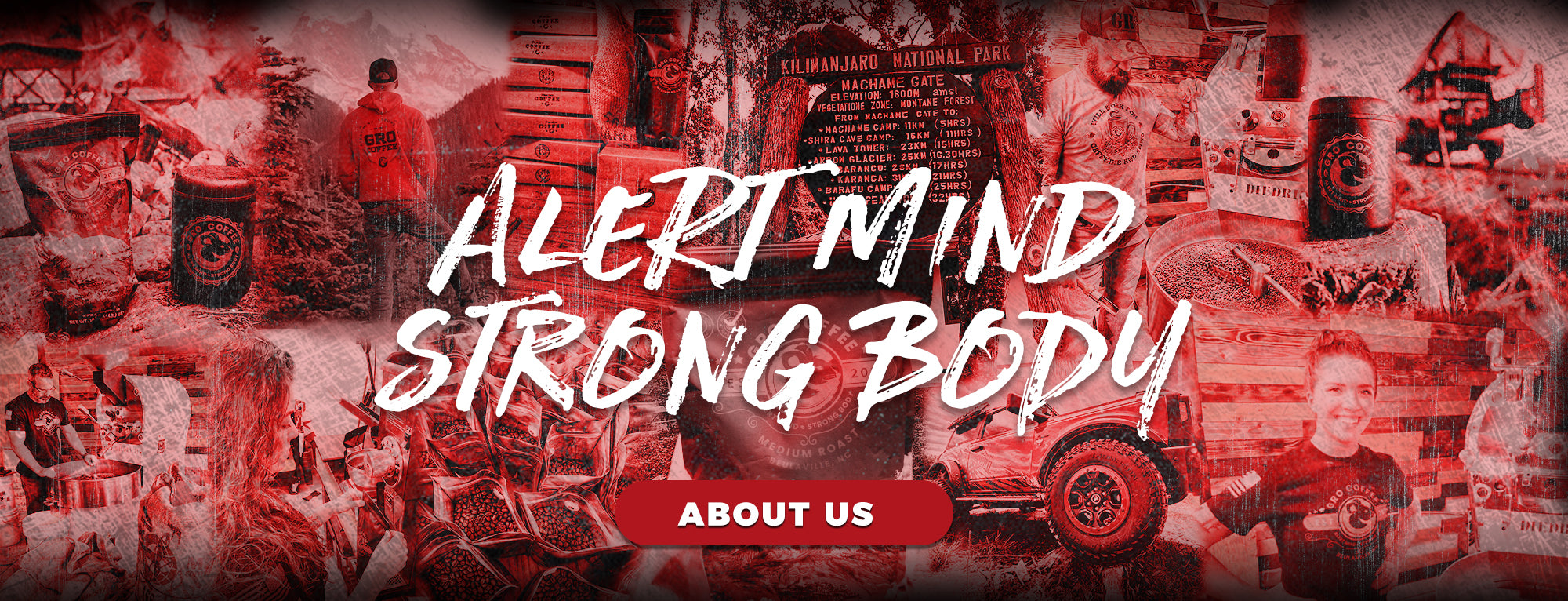 Body Knowledge Strength
